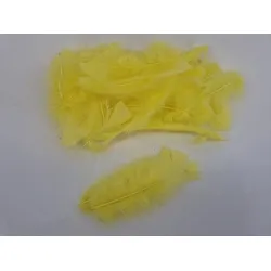 Plumes flats jaune +/-45gr
