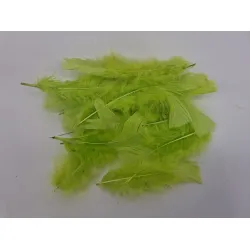 Plumes flats lime green +/-45gr