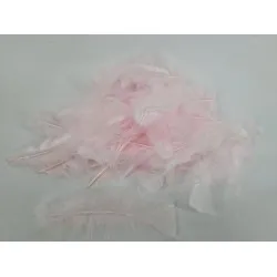 Plumes flats rose +/-10gr