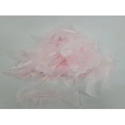 Plumes flats rose +/-45gr