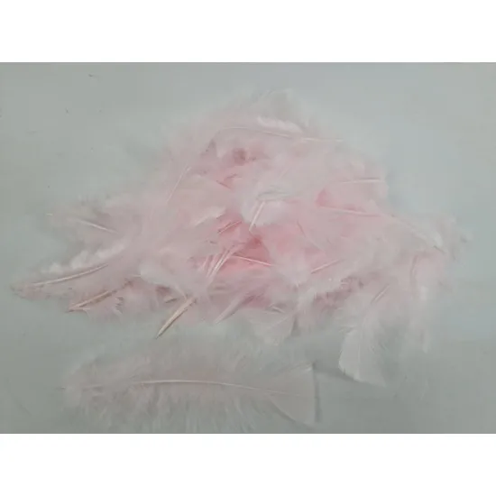 Feathers flats rose +/-45gr