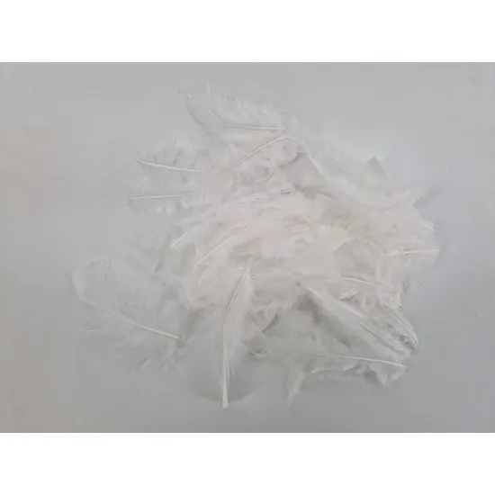 Plumes flats blanc +/-45gr
