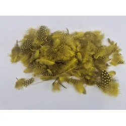 Plumes de pintade jaune +/-45gr