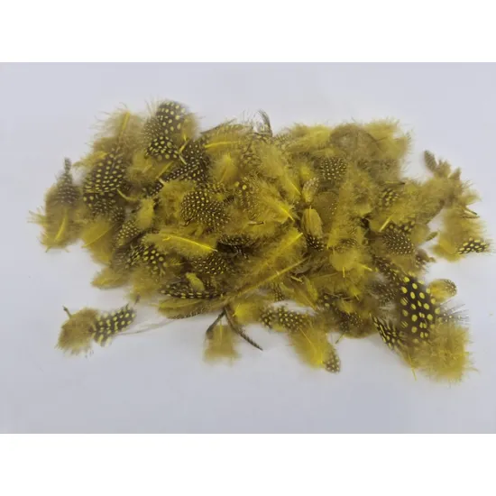 Plumes de pintade jaune +/-45gr