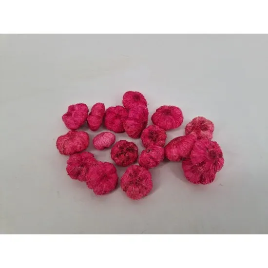 Wild apple mini cyclaam +/-50gr