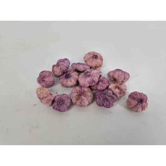 Wild apple mini freesia +/-50gr
