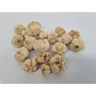 Wild apple mini bleached +/-250gr