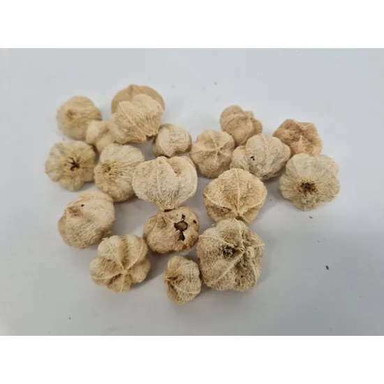 Wild apple mini gebleekt +/-250gr