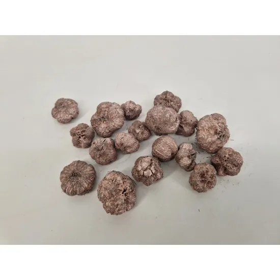 Wild apple mini rosegold +/-50gr