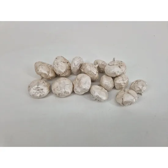 Wild apple mini ruw pearl white +/-100gr