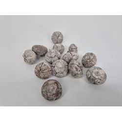 Wild apple mini rough white wash +/-500gr