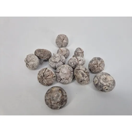 Wild apple mini ruw white wash +/-500gr