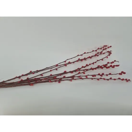 Wilgenkatjes rood 70-80cm 8st