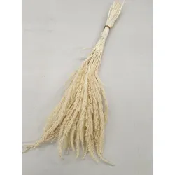 Wild grass blanchi +/-75gr