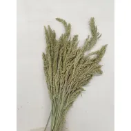 Wild grass naturel +/-75gr