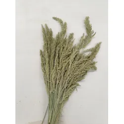 Wild grass naturel +/-75gr