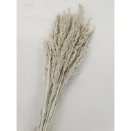 Wild grass white wash +/-75gr