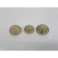 Sea urchin green 12st