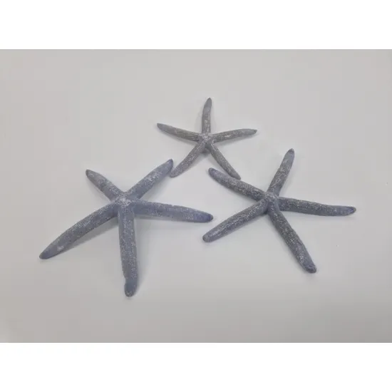 Starfish gey 10-15cm 10pcs