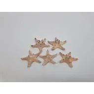 Starfish medium natural 5pcs