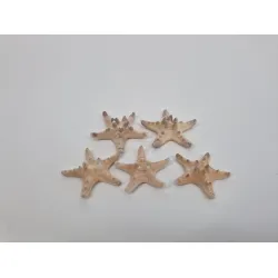 Starfish medium natural 25pcs
