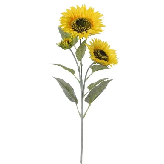 Zonnebloem 3x 66cm