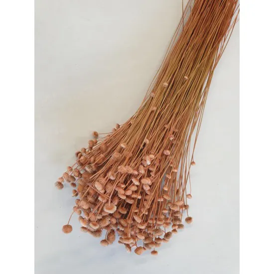 Botao branco meloen +/-100gr