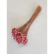 Botao branco rose +/-100gr