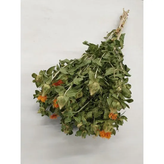 Carthamus oranje naturel