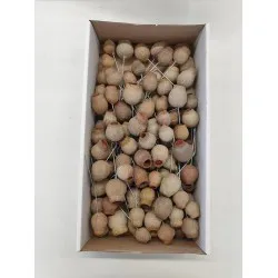 Gumbells naturel sur tige 100pcs