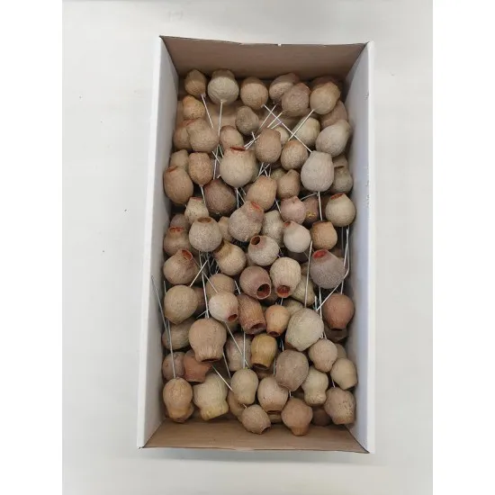 Gumbells naturel sur tige 100pcs