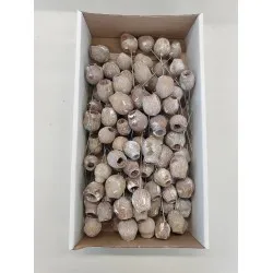 Gumbells white wash sur tige 100pcs