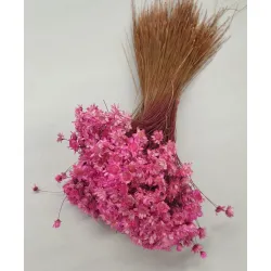 Glixia fuchsia +/-100gr