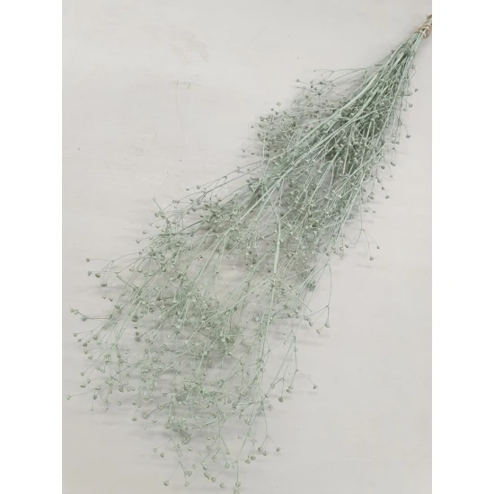 Gypsophila wild light green
