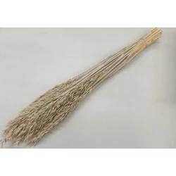 Avoine frosted white