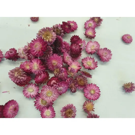 Helichrysumkoppen donker roze +/-100gr