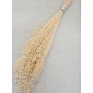 Lin blanchi +/-100gr