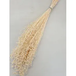Linum (vlas) gebleekt +/-100gr