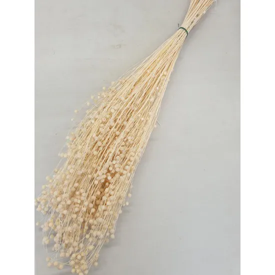 Linum (flax) bleached +/-100gr