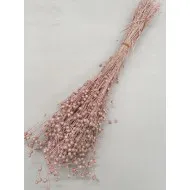 Lin pearl pink +/-100gr