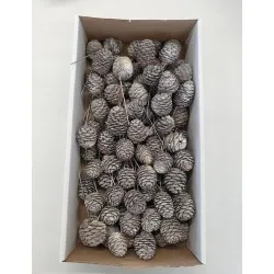 Muirii natural on wire 100pcs