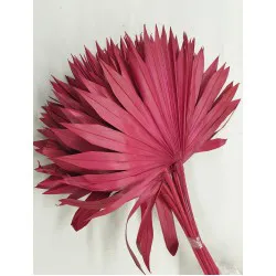 Palm sun red 10pcs