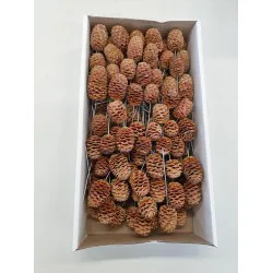 Sabulosum natural on wire 100pcs