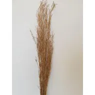 Sarash bunch goud +/-110cm +/-100gr