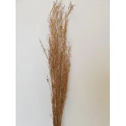 Sarash bunch goud +/-110cm +/-100gr