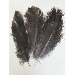 Plumes autruche drab 41-50cm naturel 3pcs