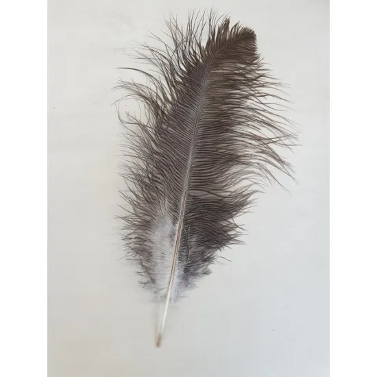 Ostrich feathers drab 51-60cm natural 1pc