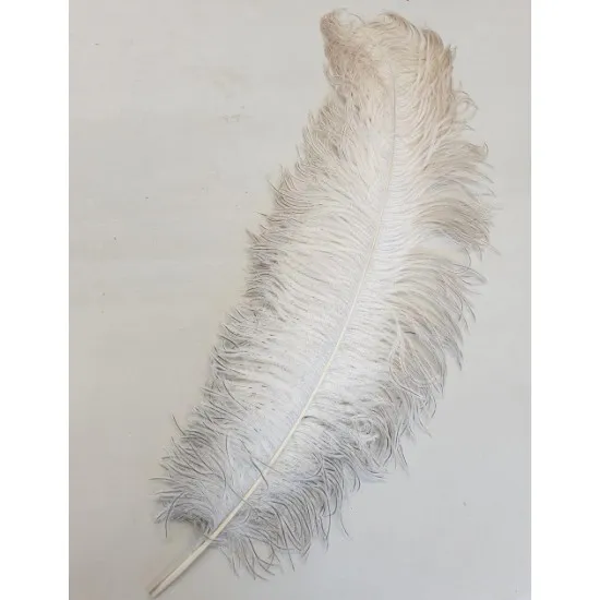 Struisvogelveren drab +60cm naturel 1st