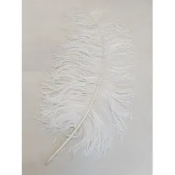 Plumes autruche drab +60cm blanc 1pc