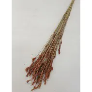 Thatch reed naturel +/-75gr